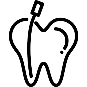 Endodontia